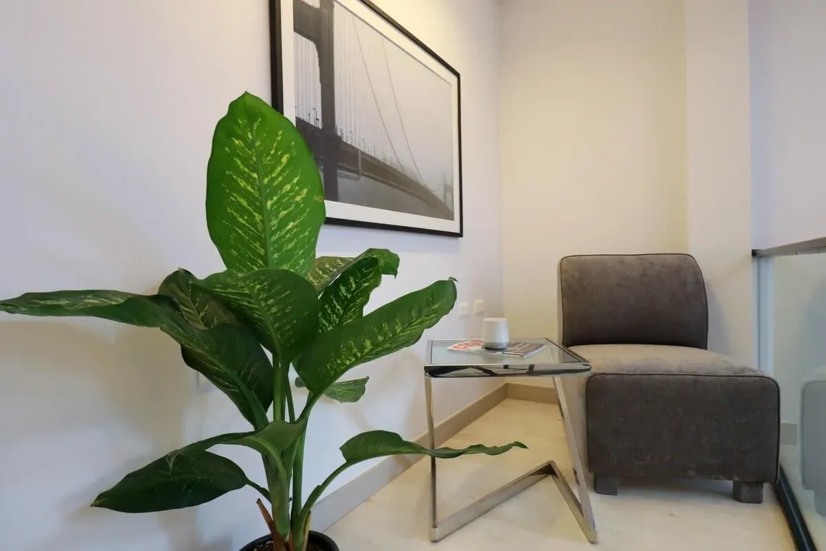Stunning House in the Heart of Barranco
