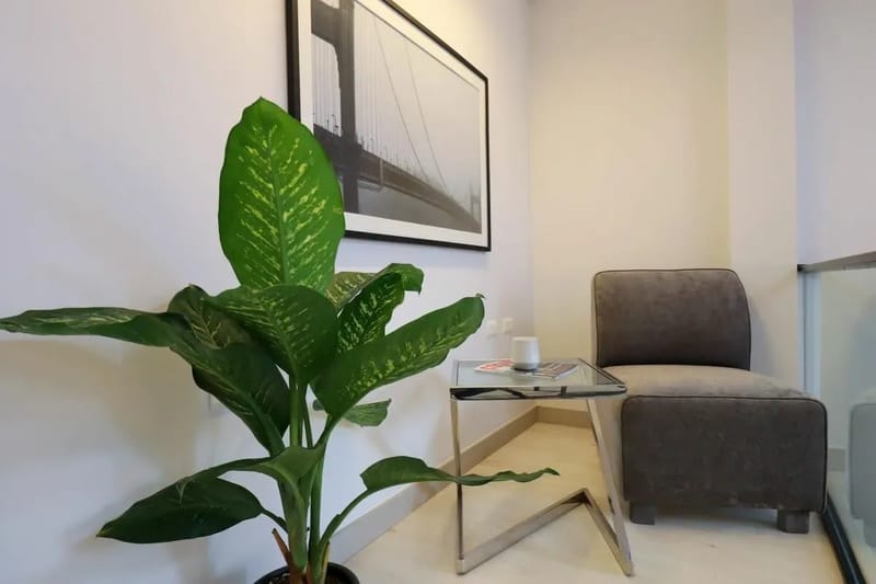 Stunning House in the Heart of Barranco