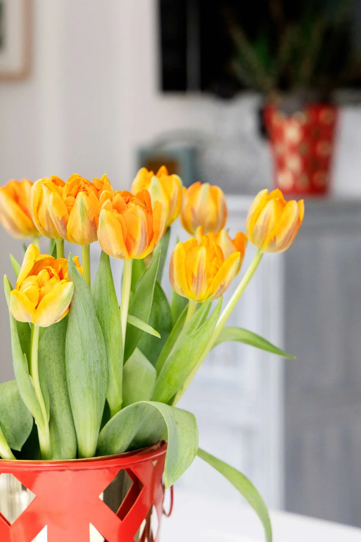 Tulipanes naranjas y amarillos llenan un jarrón rojo en un interior luminoso.