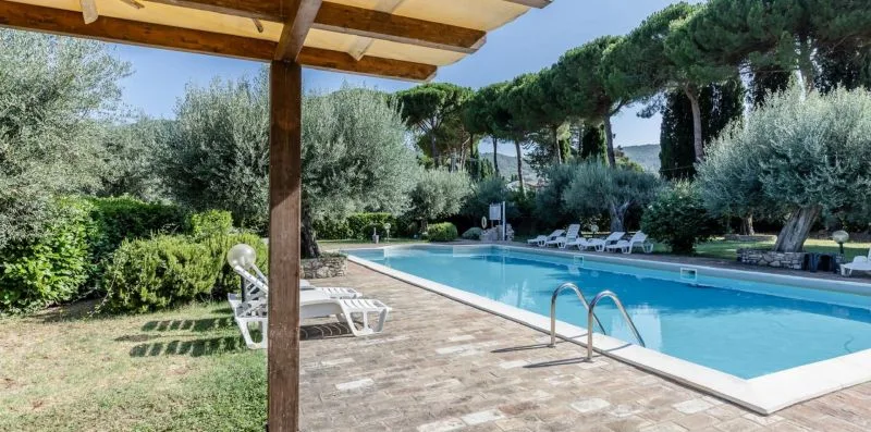 A swimming pool beside a paved patio, with loungers and trees nearby.