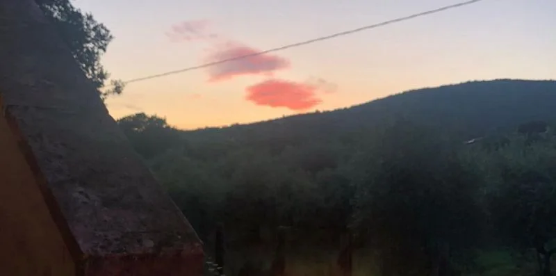 A wooded hillside sits beneath a pastel sunset sky.