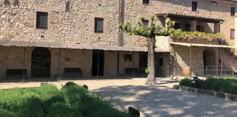 A stone courtyard with a leafy tree and a shaded building facade.
