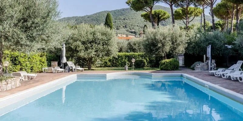 An outdoor swimming pool is surrounded by trees and lounge chairs.
