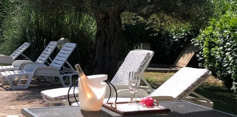 Outdoor seating area with reclining loungers and a small table beneath leafy trees.