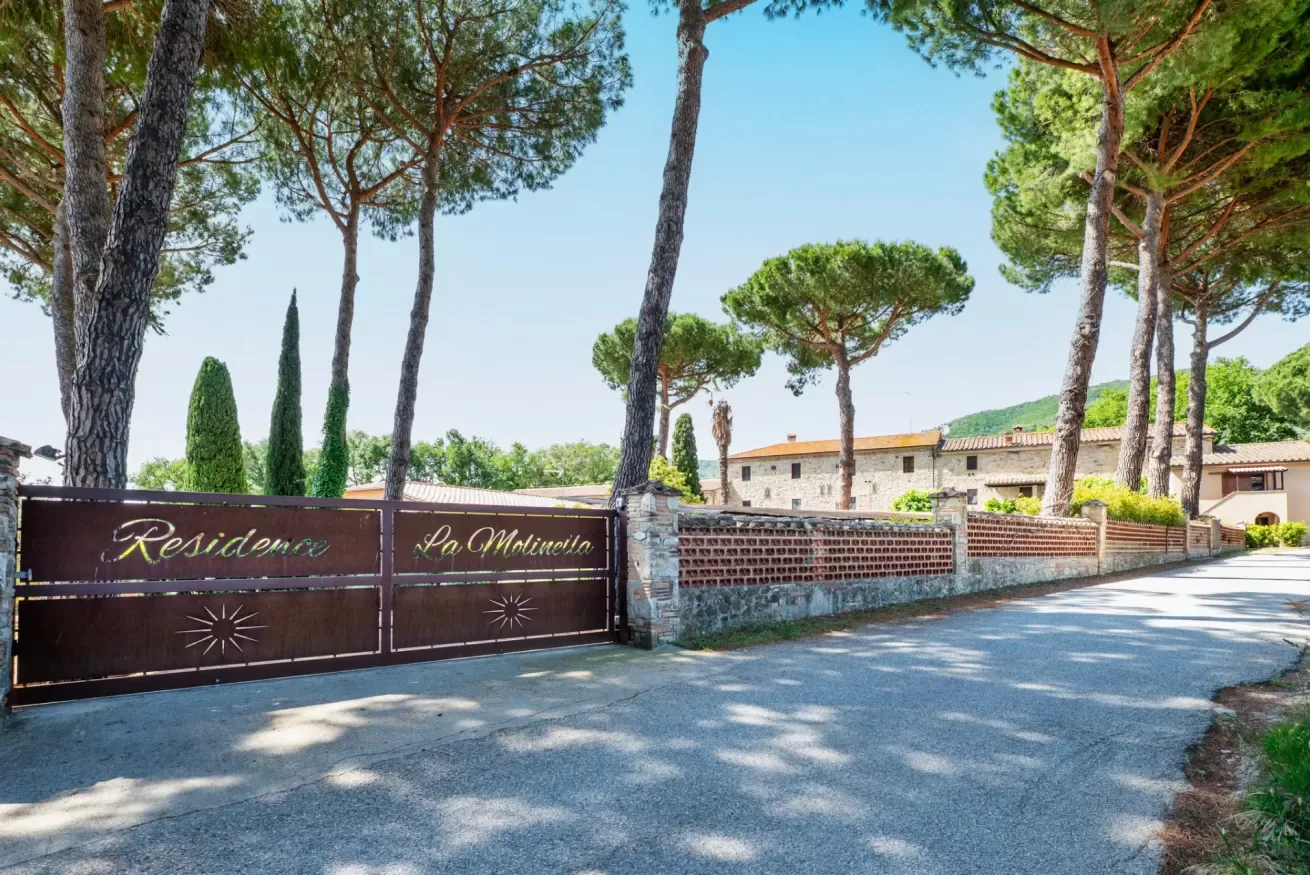A gated property entrance beneath tall pine trees, with a paved driveway.