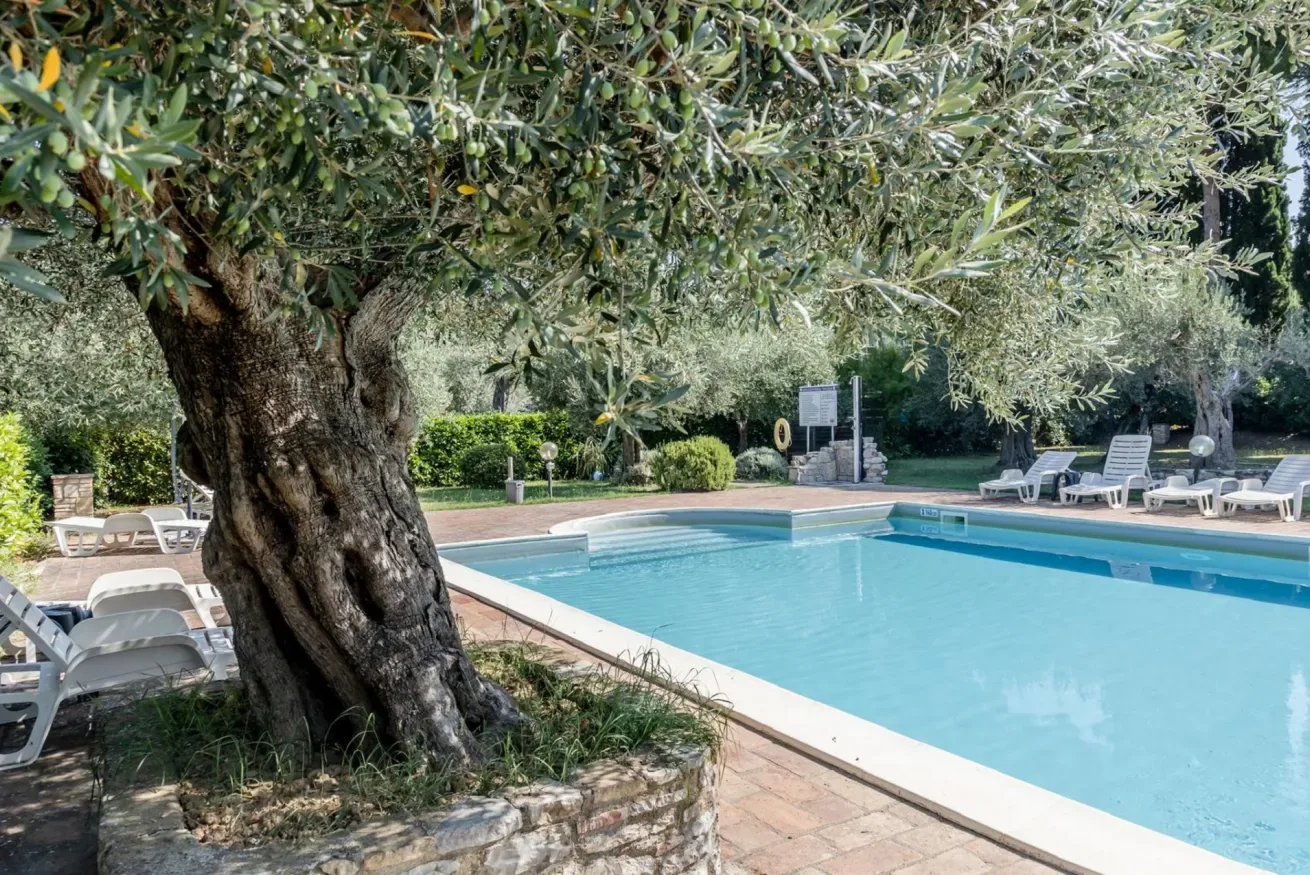 An outdoor swimming pool sits among trees and lounge seating.
