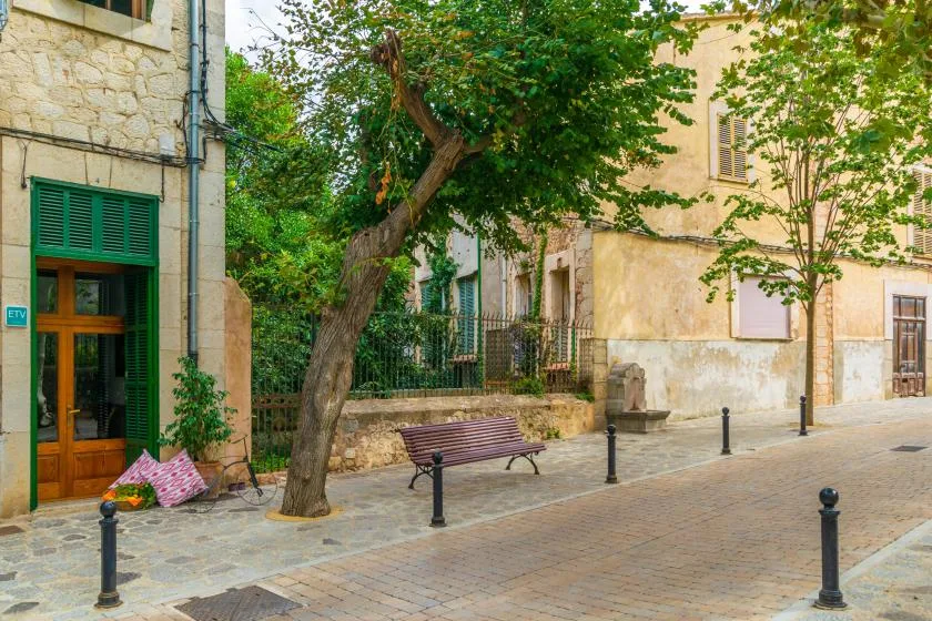 A quiet stone-paved street with a leafy tree, bench, and surrounding buildings.