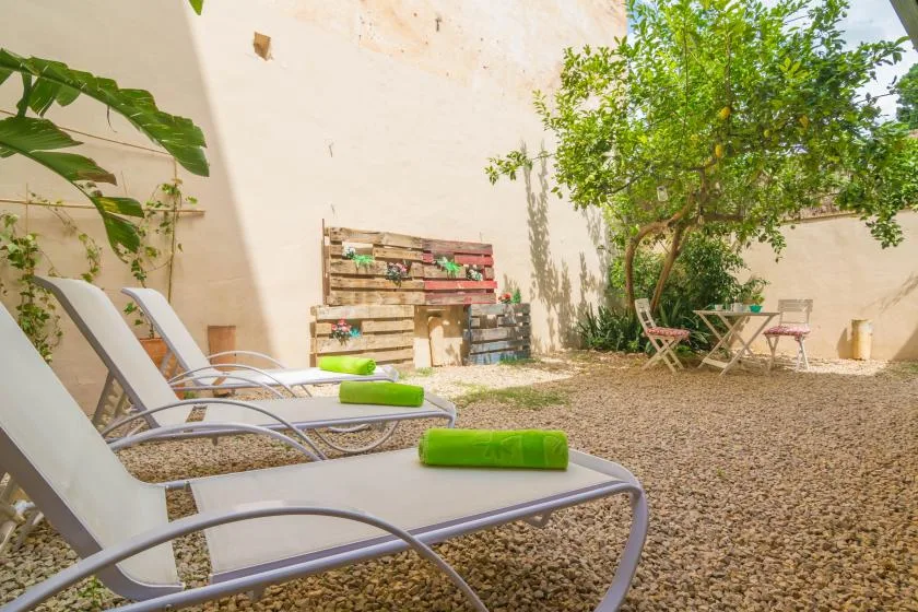 Un patio al aire libre con tumbonas reclinables, un árbol y una pequeña mesa de comedor.