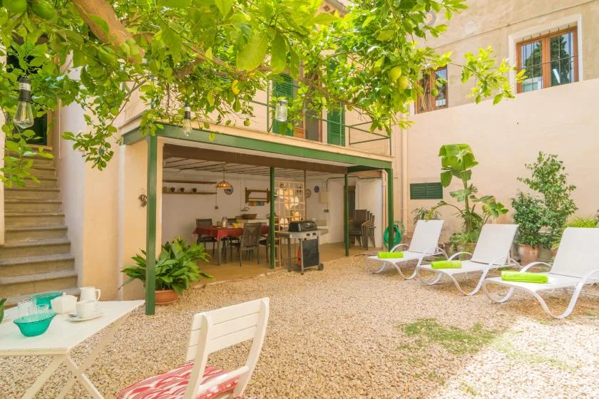 Un patio al aire libre con asientos y un comedor bajo un árbol frondoso.
