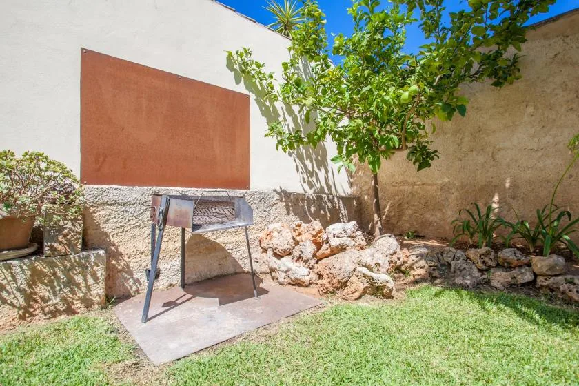 A small garden courtyard with a leafy tree, stone border, and lawn.