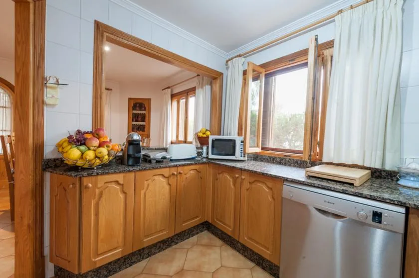 A kitchen with wooden cabinets, a countertop, and a window.