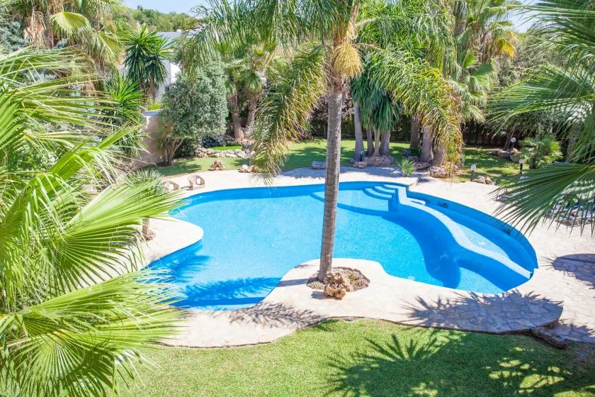 A curved swimming pool sits among palm trees and green lawn.
