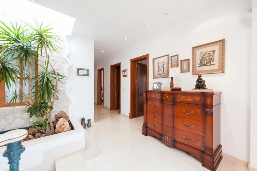A bright hallway with a wooden dresser, framed artwork, and a large indoor plant.