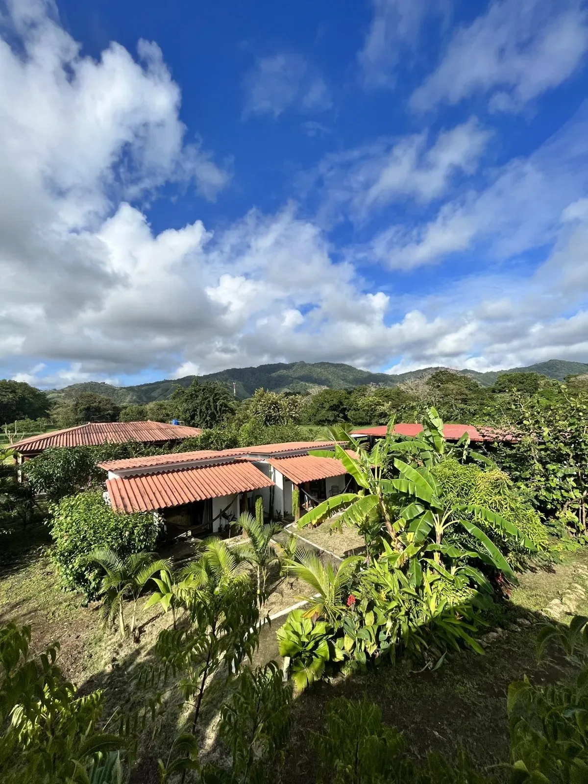 Las cabañas y el jardín de La Brisa vistos desde arriba, con colinas al fondo