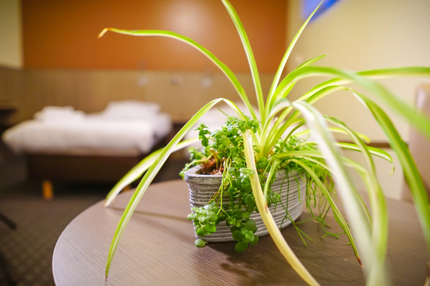 Hotel OTUS property photo