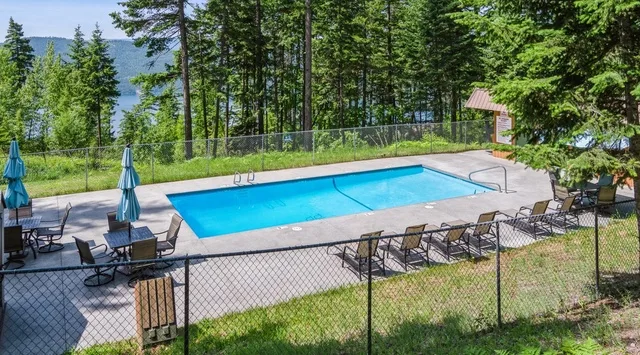 An outdoor swimming pool is surrounded by deck seating and tall trees.
