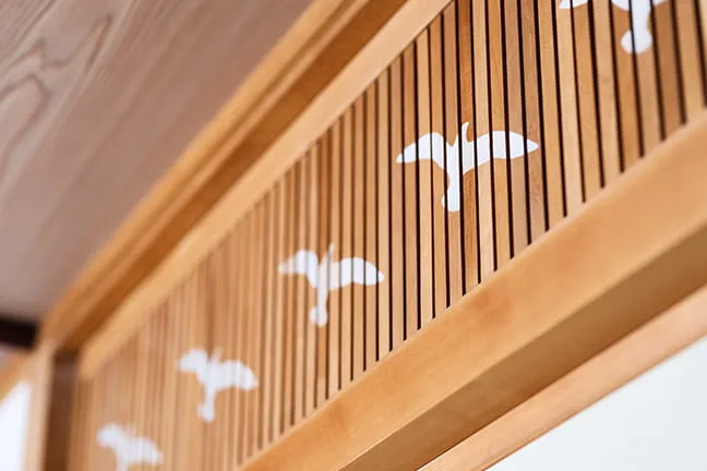 Habitación especial Senshinkei