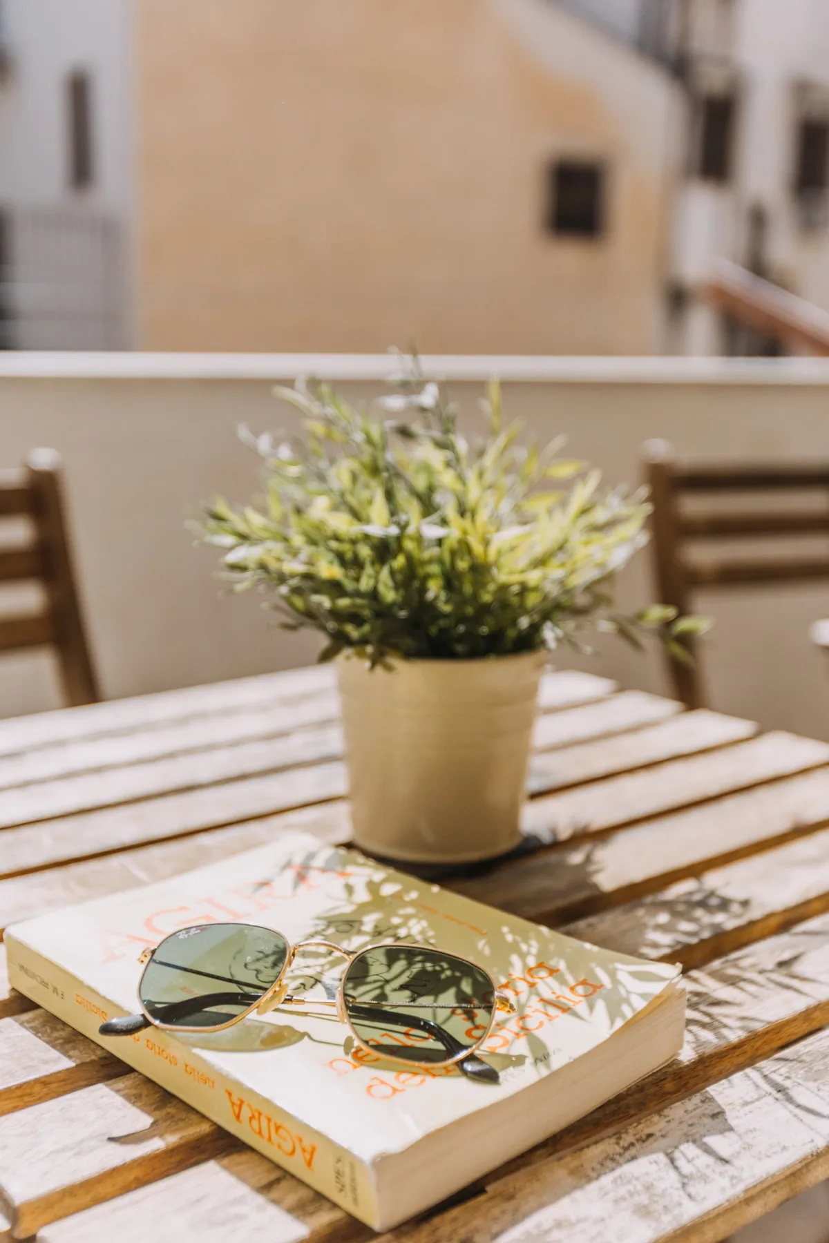 Una mesa al aire libre, iluminada por el sol, tiene una planta en maceta, gafas de sol y un libro.