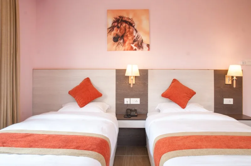 Habitación Deluxe con dos camas
