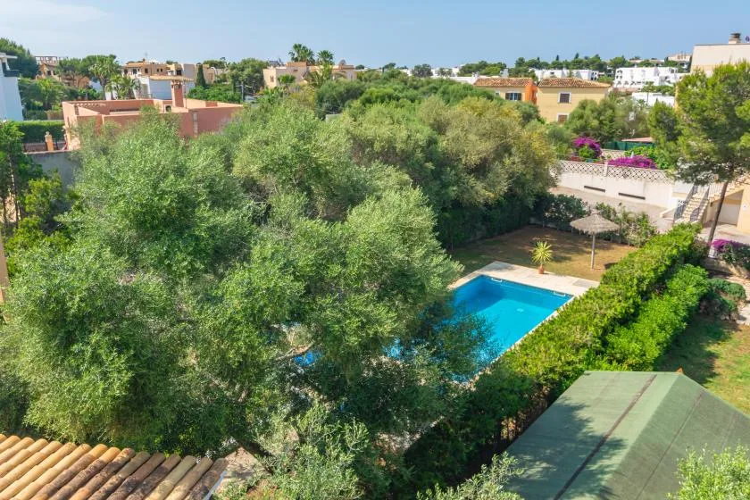 A leafy outdoor garden surrounds a small blue swimming pool.