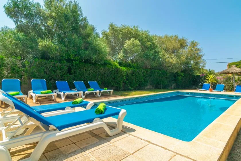 A swimming pool with blue lounge chairs sits beside leafy greenery.