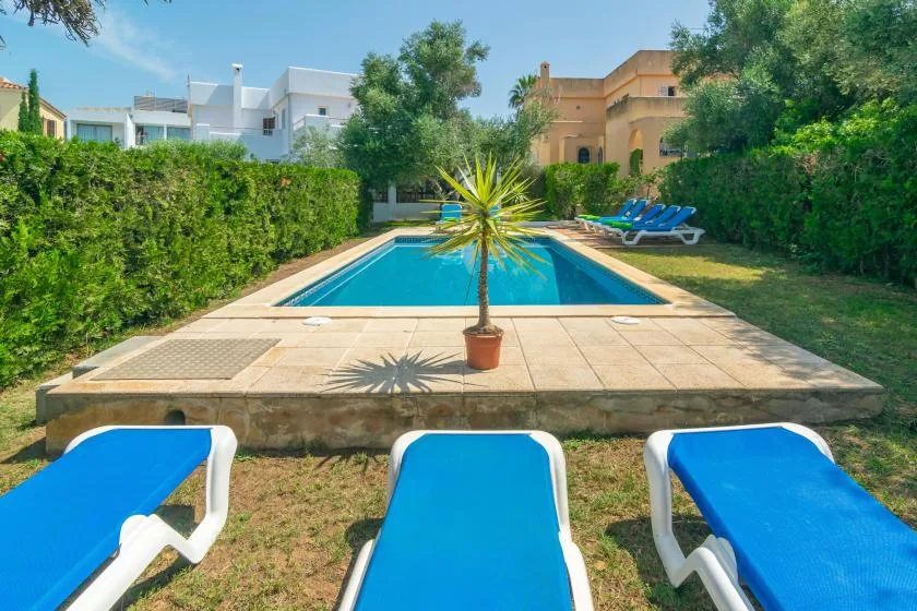 An outdoor swimming pool is surrounded by hedges and blue lounge chairs.