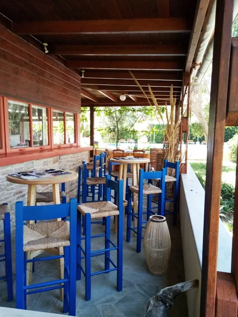 Bar y terraza