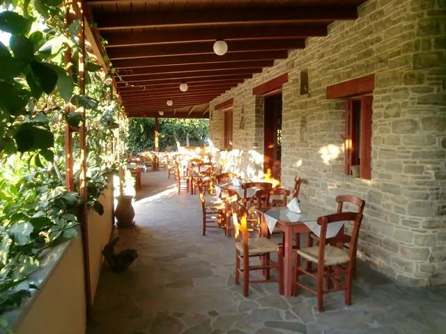Bar y terraza