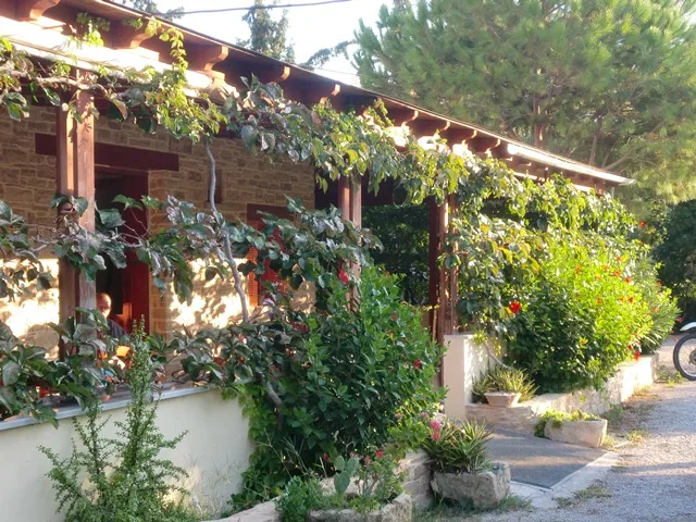 Bar y terraza