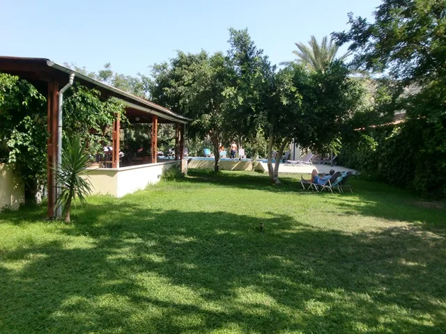 Piscina y jardín