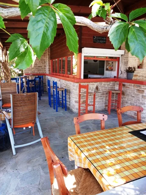 Piscina y jardín