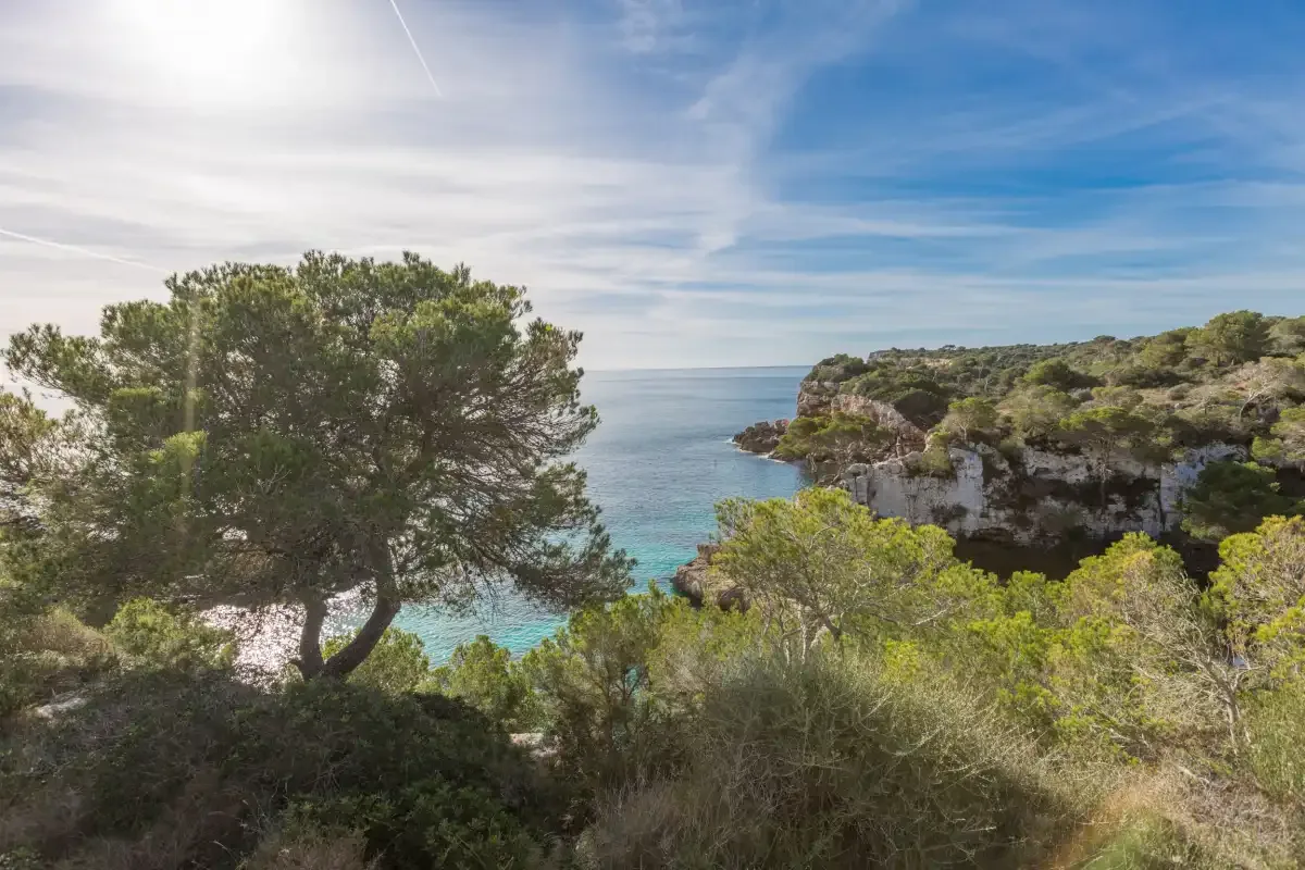 A coastal cove with turquoise water, rocky cliffs, and trees.