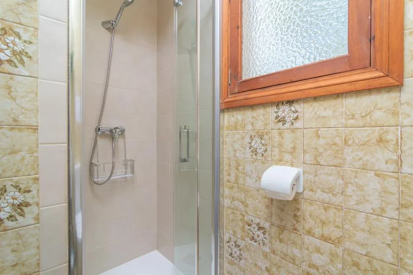 A tiled bathroom with a glass shower and a wall-mounted toilet paper holder.