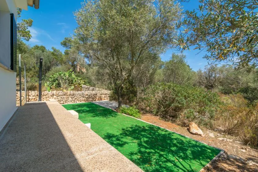 A small lawn beside a shaded stone patio, with trees and shrubs around it.