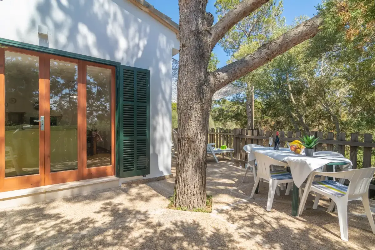 Outdoor dining area beside a building, with a table set beneath a large tree.