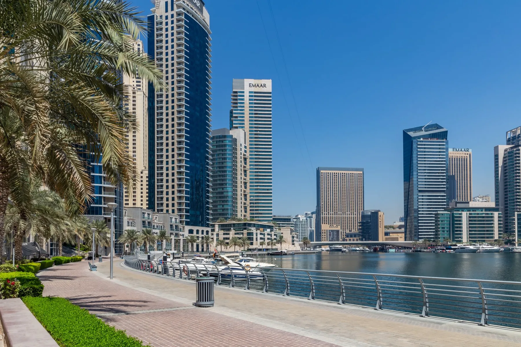 Paseo junto al agua con edificios altos y palmeras a lo largo de la orilla.