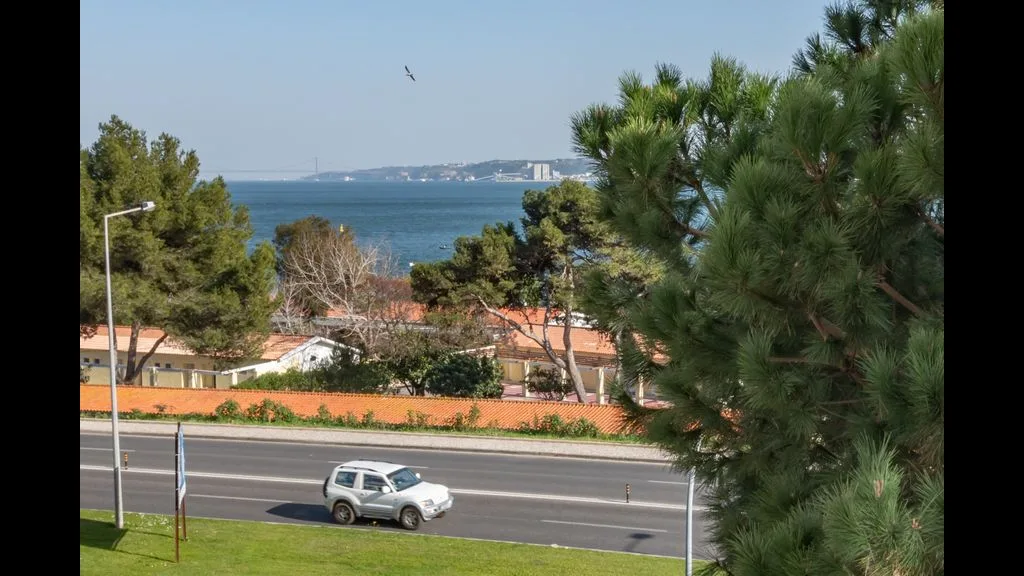 Una carretera costera pasa junto a árboles, con el mar y la costa lejana al fondo.