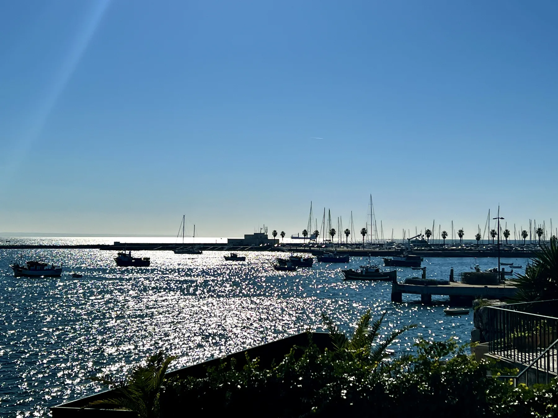 A marina with sailboats sits beside sunlit water under a clear blue sky.