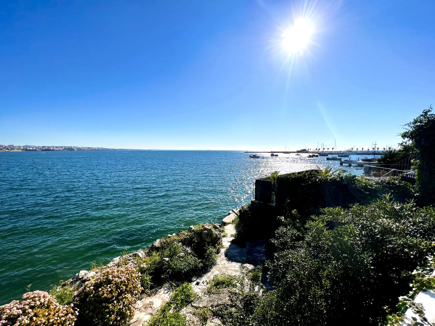 A sunny coastal view shows blue water beside a rocky, shrub-covered shoreline.