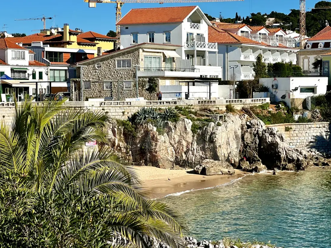 Coastal homes overlook a rocky shoreline and a small sandy beach.