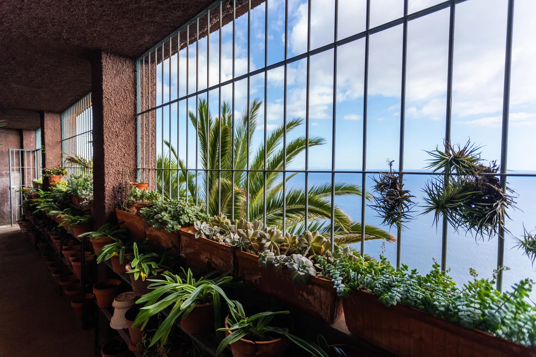 Un balcón cubierto con plantas en macetas da al mar.