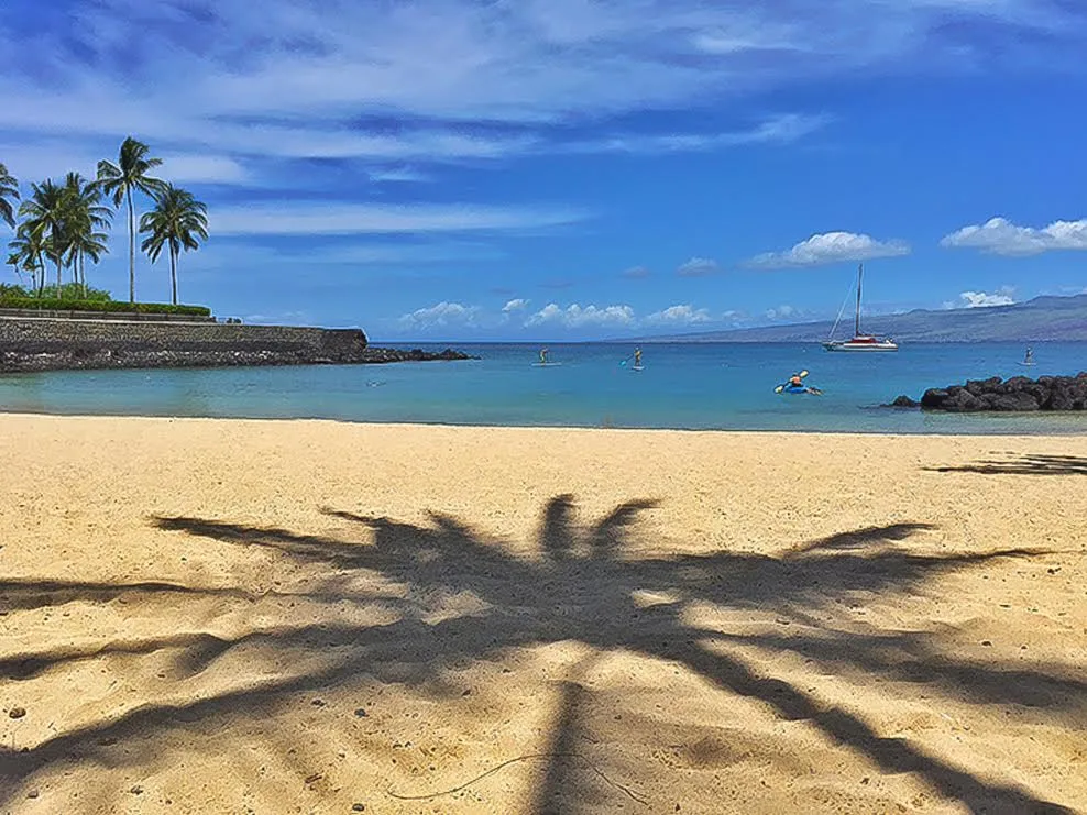 Una playa de arena con sombras de palmeras se extiende hacia aguas azules tranquilas.