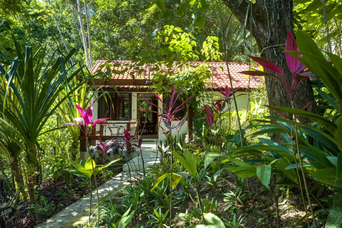 Alojamiento en la selva de Belice