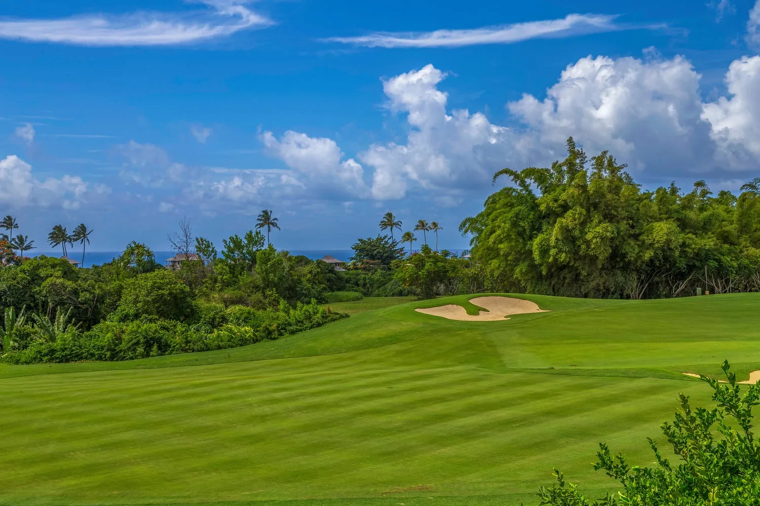 Un campo de golf cuidado con una trampa de arena y árboles tropicales bajo un cielo nublado.