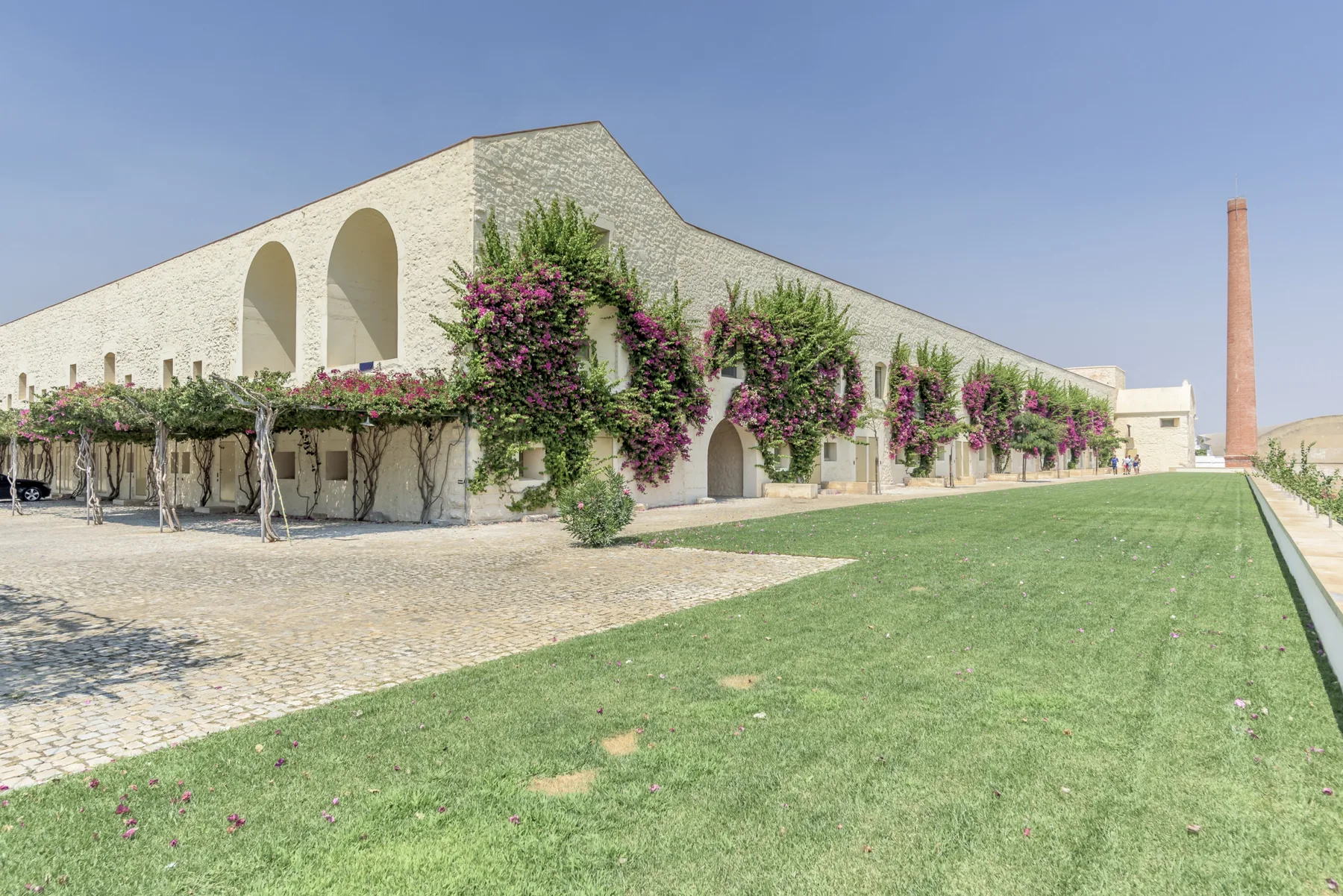 Un patio junto a un edificio de piedra clara, con enredaderas floridas en la fachada.