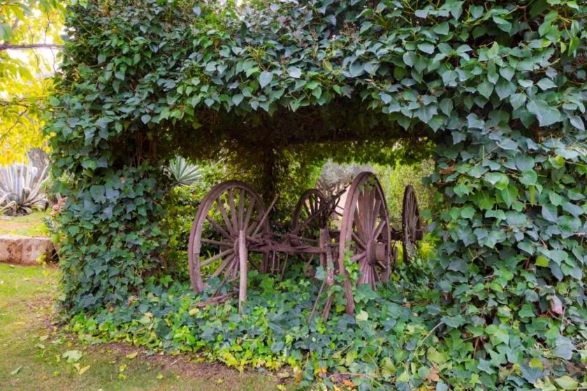 An ivy-covered garden arch frames an old wooden wagon among the plants.