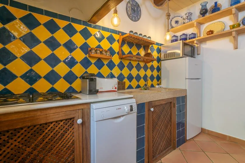 A compact kitchen with a blue-and-yellow tiled backsplash and wooden cabinets.