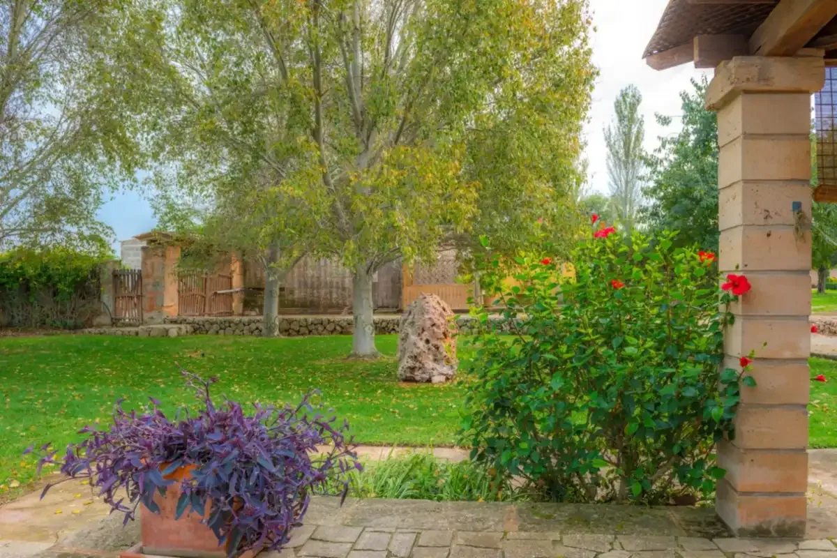 A garden with leafy trees, flowering shrubs, and a paved patio.