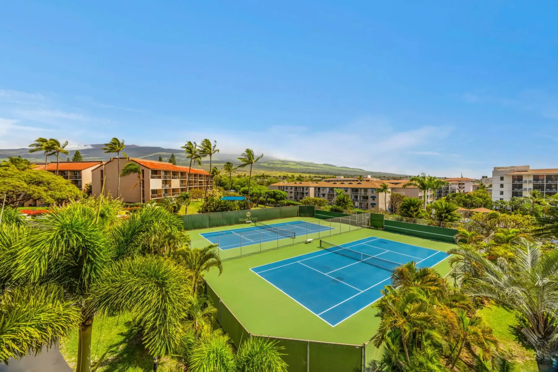 Outdoor tennis courts sit among palm trees and landscaped greenery.