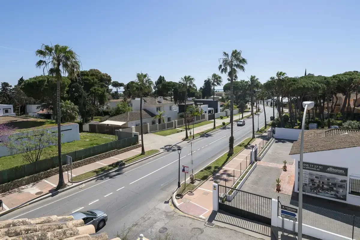 A palm-lined road passes modern buildings and landscaped grounds under a clear sky.